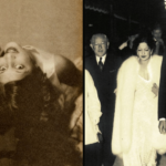 A stylish and glamorous royal couple lifestyle