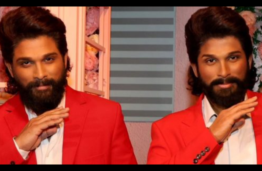 David Warner likes Allu Arjun’s wax&hellip;