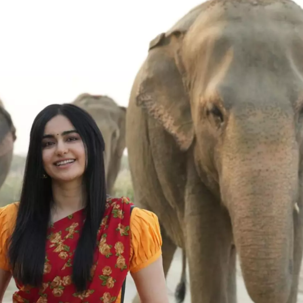 Adah Sharma partners with Wildlife SOS for abused elephants