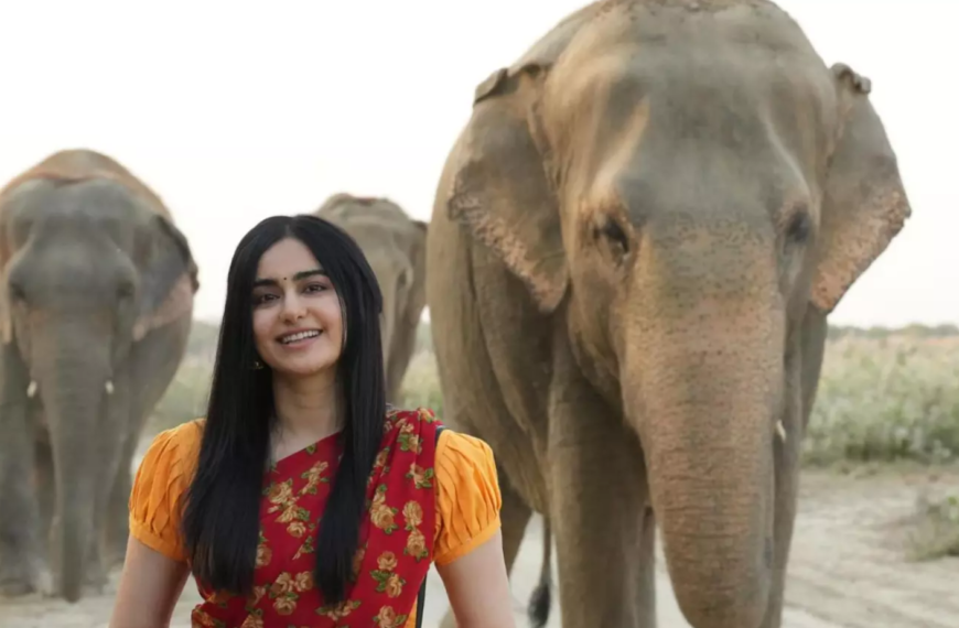 Adah Sharma partners with Wildlife SOS&hellip;