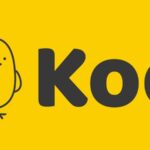 Koo shuts down operations amid&hellip;
