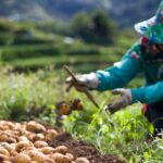 Rural FMCG Demand Expected to&hellip;