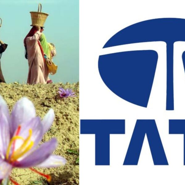 Tata’s Himalayan Saffron Supports Kashmiri Farmers for Himalayan Day