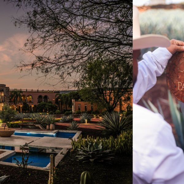 Indian Celebrities Experience Tequila Craftsmanship at PATRÓN’s Hacienda&hellip;
