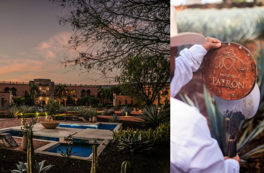 Indian Celebrities Experience Tequila Craftsmanship at PATRÓN’s Hacienda Estate