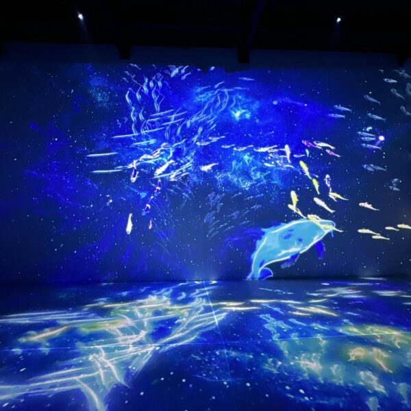 Spectra – India’s First Multi-Sensory Museum Opens Its Doors in Ahmedabad