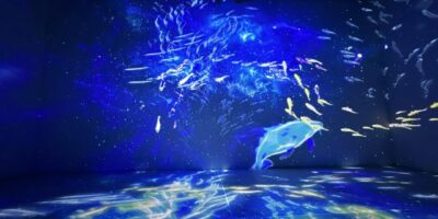 Spectra – India’s First Multi-Sensory Museum Opens Its Doors in Ahmedabad