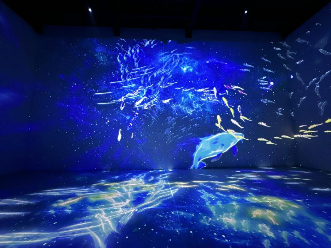 Spectra – India’s First Multi-Sensory Museum Opens Its Doors in Ahmedabad