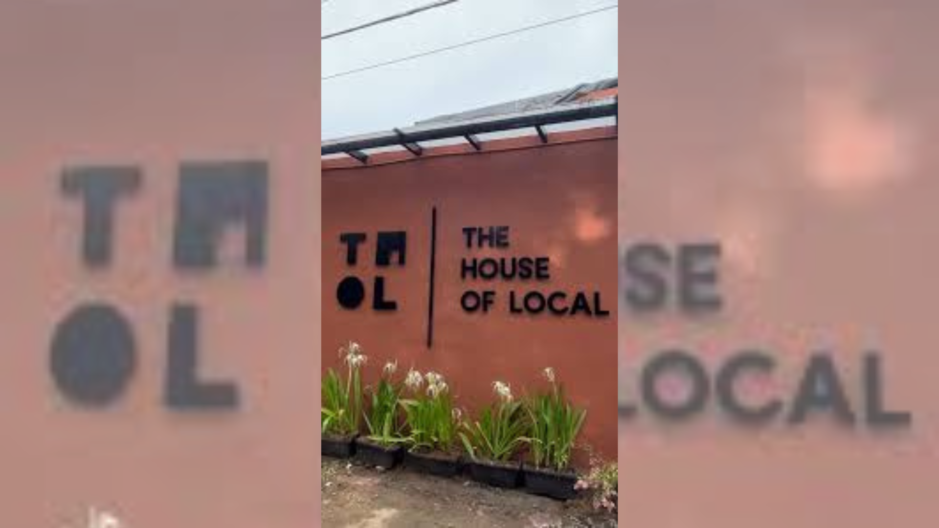 Luminara by Mauve at The House of Local: A Curated Evening