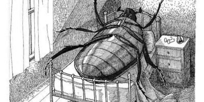 Kafka’s Metamorphosis: The Terror of the Ordinary