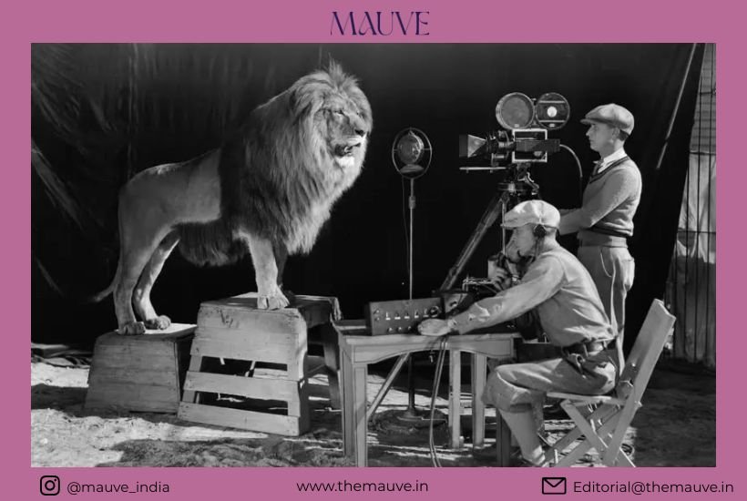 The Roar by Fred A. Parrish and the Photograph&hellip;