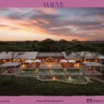 When the Serengeti Becomes the…