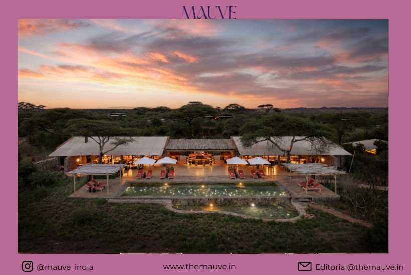 When the Serengeti Becomes the…