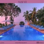 The 48-Hour Escape: Weekend Getaways…