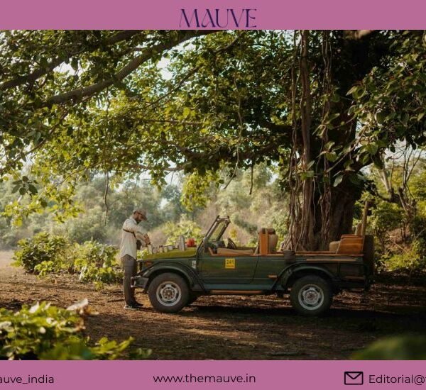 Not Just a Safari, but a Forest Hideaway: 5&hellip;