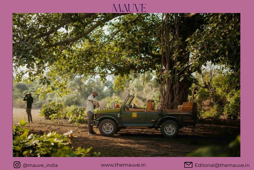 Not Just a Safari, but a Forest&hellip;