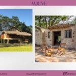 Beyond the Safari: 4 Extraordinary&hellip;