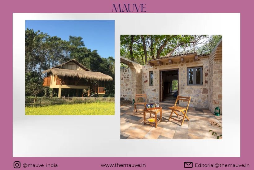 Beyond the Safari: 4 Extraordinary&hellip;